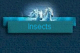 Insects