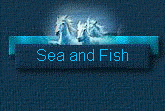 Sea and Fish